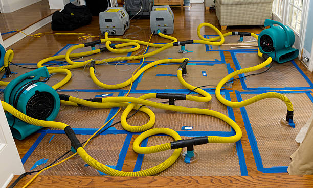 Professional Crawl Space Water Removal technician working in University Park, NM